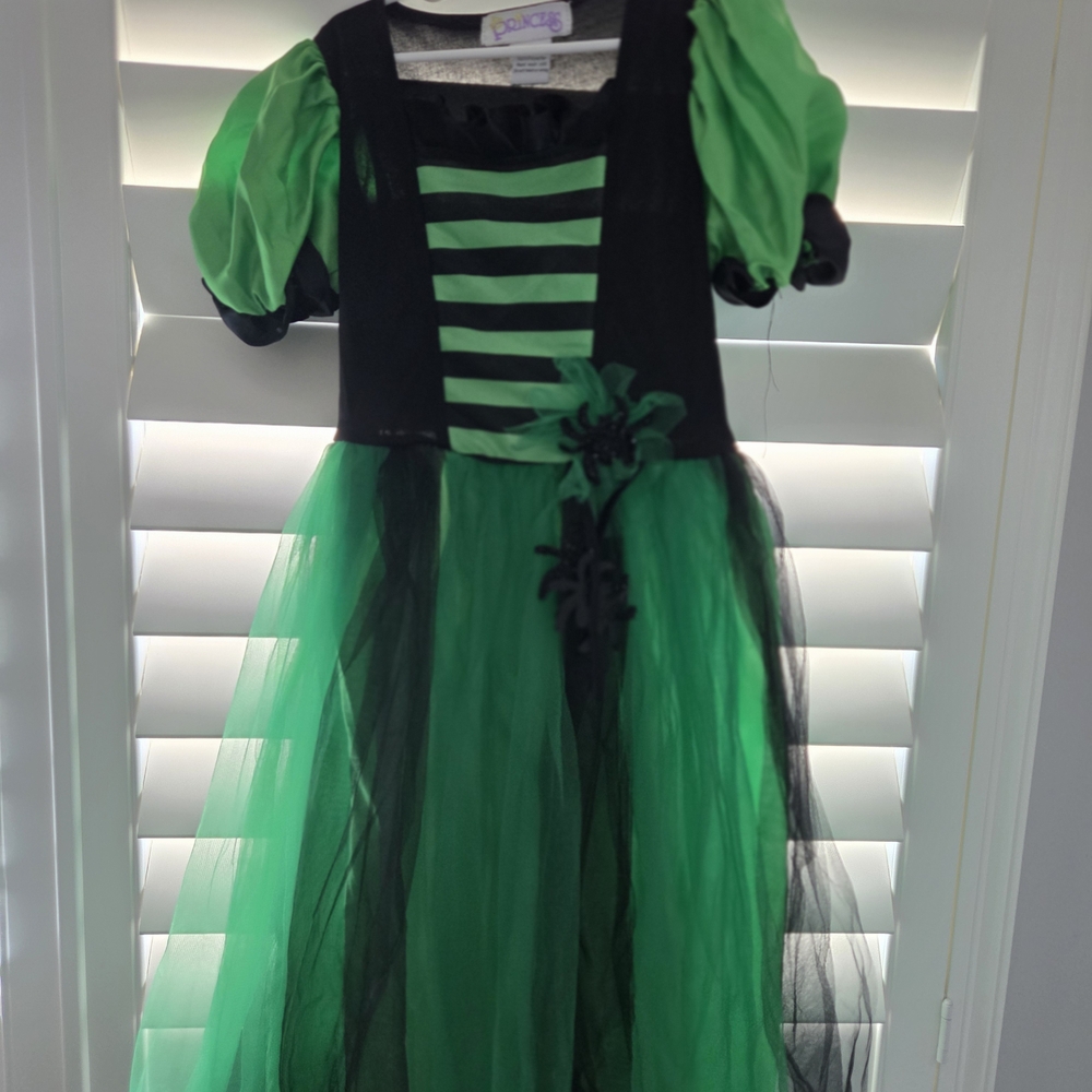 Disguise Green and Black Halloween Costume